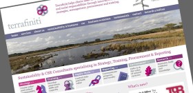 Terrafiniti website