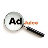 Organic SEO services image